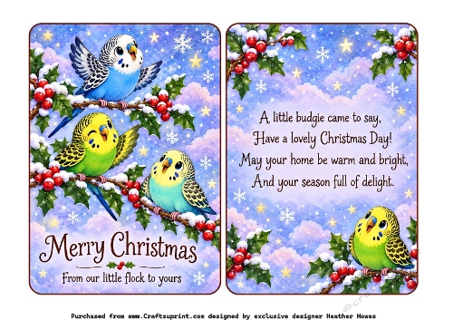  christmas budgies