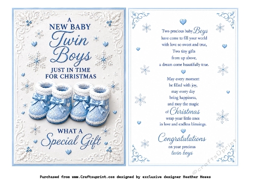 new baby twin boys just in time for christmas