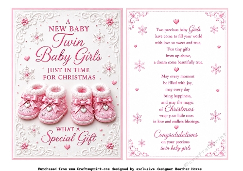 new baby twin girls just in time for christmas