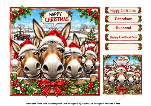 christmas donkeys on the farm