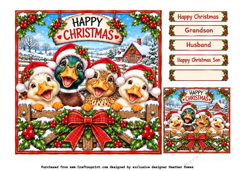 christmas ducks on the farm