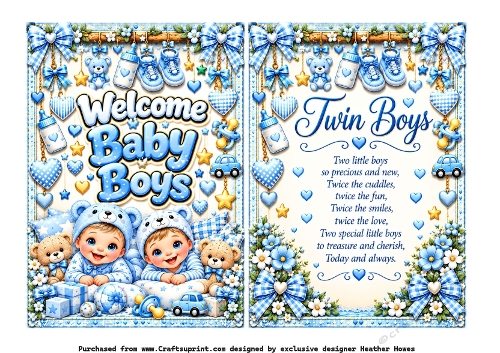 welcome baby boys twins