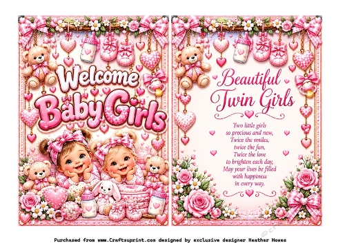 welcome baby girls twins