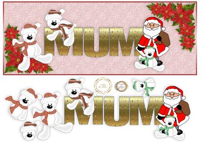 Mum Polar Bears and Santa