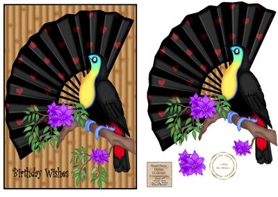 Exotic Bird and Fan Birthday