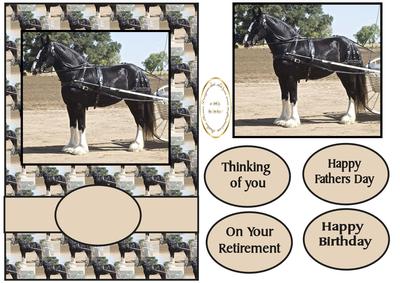 Shire Horse