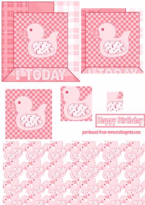 1st Birthday Pink Duck