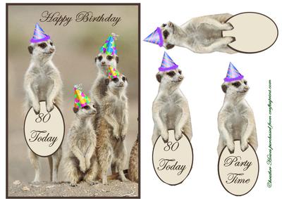 Meerkats Party
