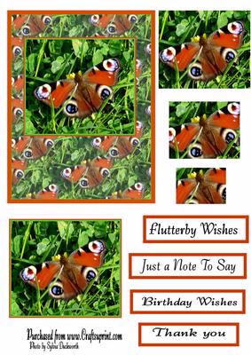 Butterfly
