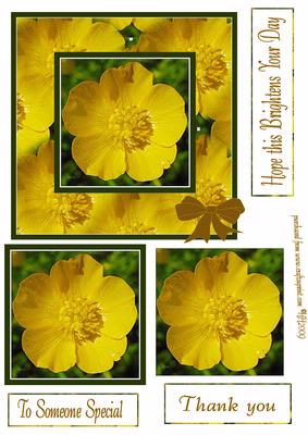 Buttercup Wishes