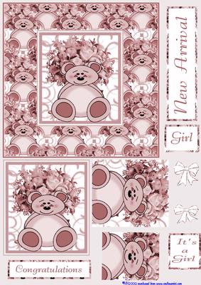 Beary New Arrival Girl