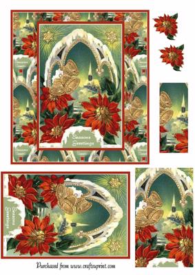 Poinsettia Splendour