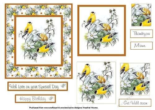Birds and Flowers