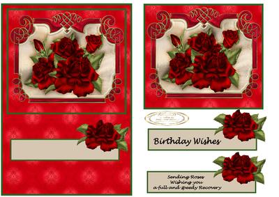Rose for Birthday Get Well