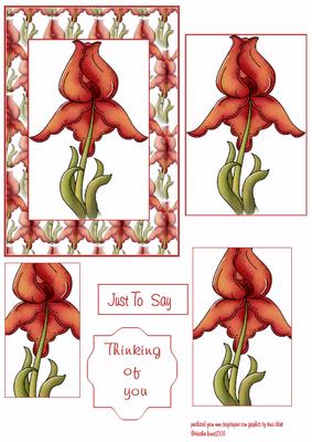 Iris Thinking of You