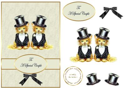 Civil Marriage Cool Cats