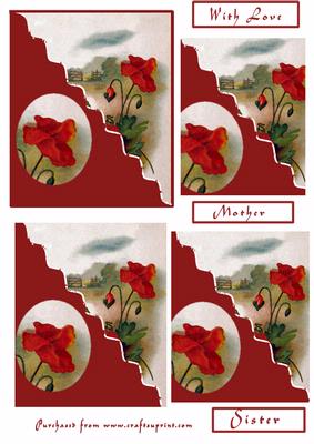 Poppy Floral Fancy