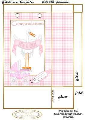 Stork Baby Girl Gift Bag