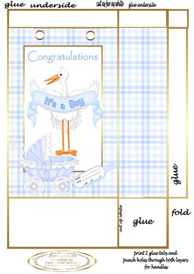 Stork Baby Boy Gift Bag