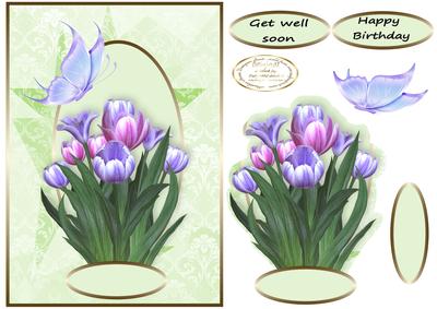 Get Well Tulips and Butterflies