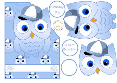 Baby Boy Owl/birthday