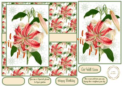 Floral Lily All Occasions