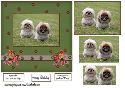 Doggy Wishes Pekingnese