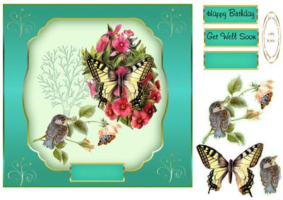 Get Well/birthday Bird and Butterfly