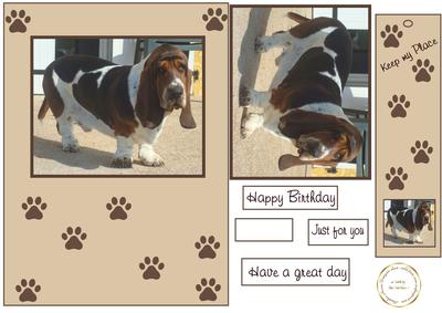 Bertie Basset with Bookmark