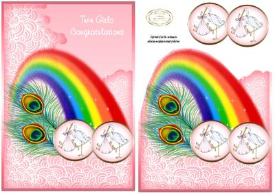 Twin Baby Girl Rainbow