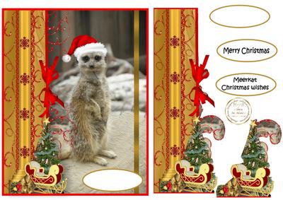 Meerkat Christmas