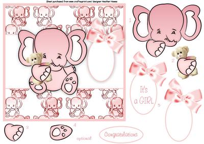 Baby Girl Elephant