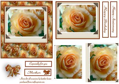 Peach Rose for All Occasions