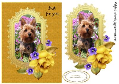 Just for You Yorkie with Roses