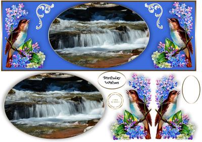 Birds and Waterfall