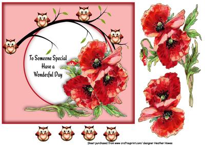 Owls and Poppies