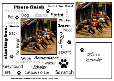 Greyhound Racing Urban Art