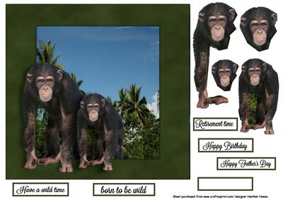Monkey Out of the Frame