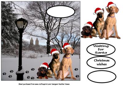 Waiting in the Snow for Santa