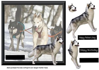 Huskies Out of the Frame