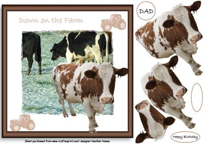 Cow Out of the Frame