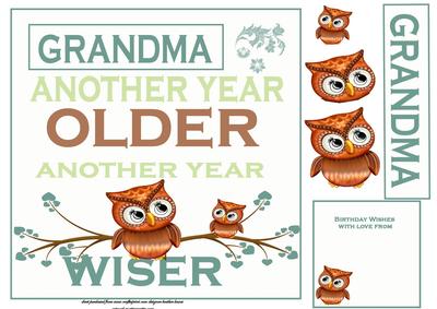 Grandma Wiser