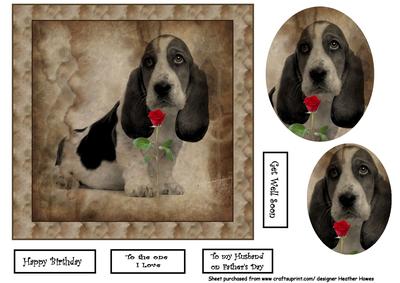 Basset Hound with Rose