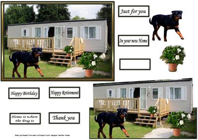At Home with the Dog