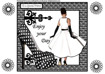 The Lady and the Shoe