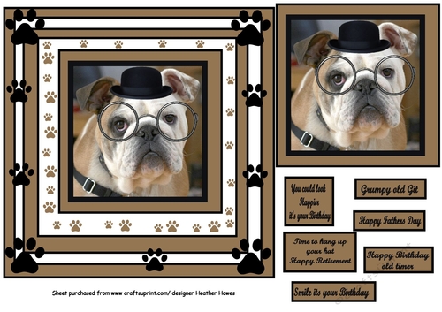 bulldog breed