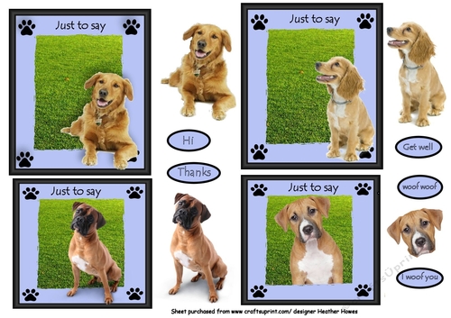 doggy toppers all occasions