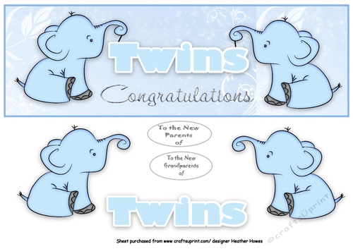 ellie twins boy