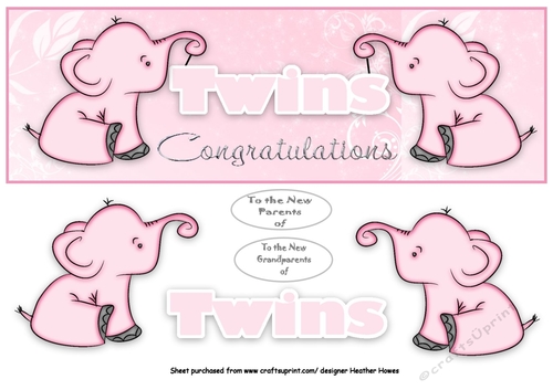 ellie twins girl