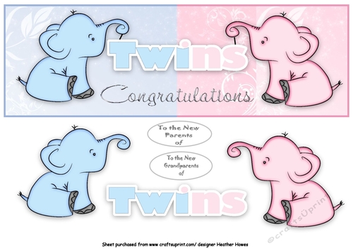 ellie twins 1 of each